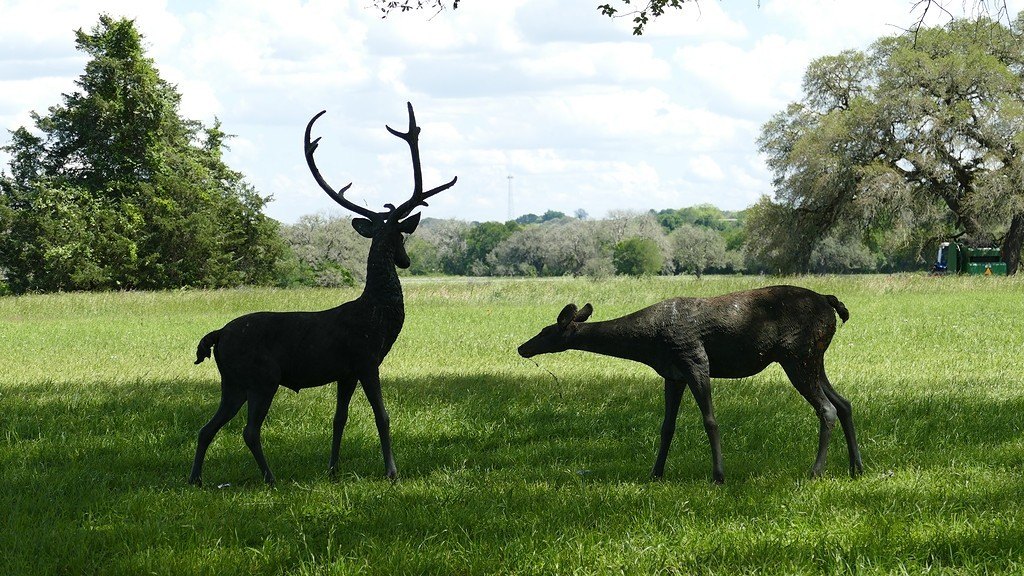 1324 Ladewig Lane, Schulenburg, TX 78956, 3 Bedrooms Bedrooms, ,2 BathroomsBathrooms,Farm,For Sale,1324 Ladewig Lane,149736
