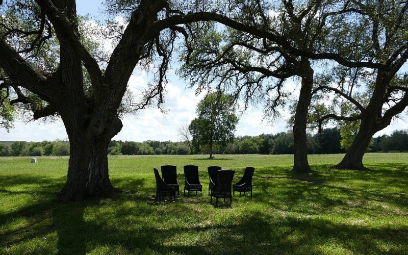 1324 Ladewig Lane, Schulenburg, TX 78956, 3 Bedrooms Bedrooms, ,2 BathroomsBathrooms,Farm,For Sale,1324 Ladewig Lane,149736