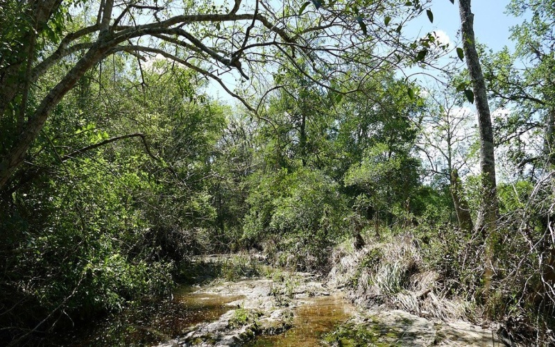 1324 Ladewig Lane, Schulenburg, TX 78956, 3 Bedrooms Bedrooms, ,2 BathroomsBathrooms,Farm,For Sale,1324 Ladewig Lane,149736