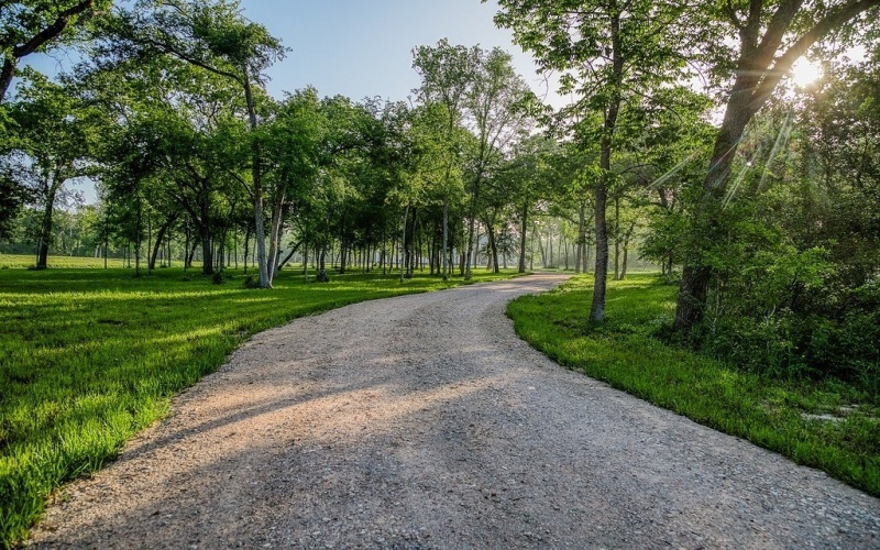 40051 Mesquite, Hempstead, TX 77445, 5 Bedrooms Bedrooms, ,5 BathroomsBathrooms,Farm,For Sale,40051 Mesquite,151316