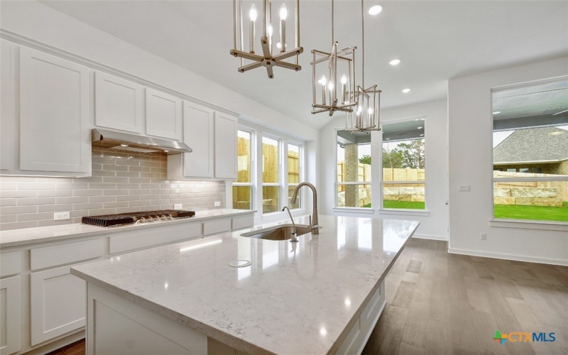 420 Puppy Dog Pass, San Marcos, TX 78666, 3 Bedrooms Bedrooms, ,2 BathroomsBathrooms,Residential,For Sale,420 Puppy Dog Pass,568552