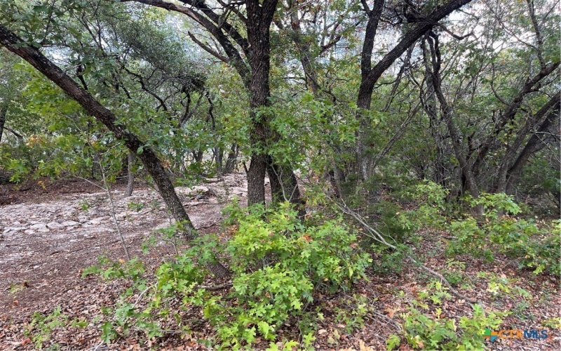 740 County Road 334, Gatesville, TX 76528, 3 Habitaciones Habitaciones , ,Residential,En Venta,740 County Road 334,570480