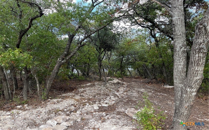 740 County Road 334, Gatesville, TX 76528, 3 Habitaciones Habitaciones , ,Residential,En Venta,740 County Road 334,570480