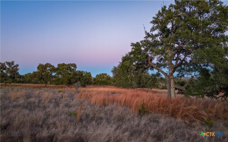 5999 Ranch Road 165, Blanco, TX 78606, ,Otro,En Venta,5999 Ranch Road 165,570773