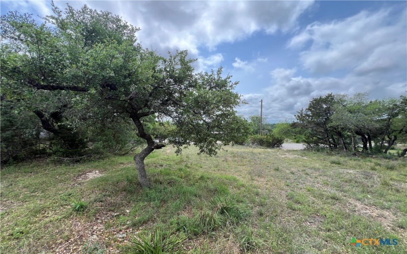 572 Wickford Way, Canyon Lake, TX 78133, 4 Bedrooms Bedrooms, ,2 BathroomsBathrooms,Residential,For Sale,572 Wickford Way,579644