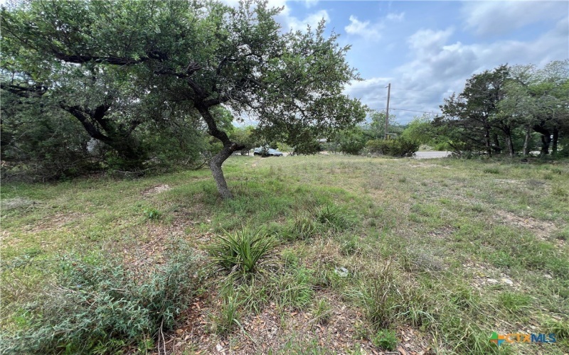 572 Wickford Way, Canyon Lake, TX 78133, 4 Bedrooms Bedrooms, ,2 BathroomsBathrooms,Residential,For Sale,572 Wickford Way,579644