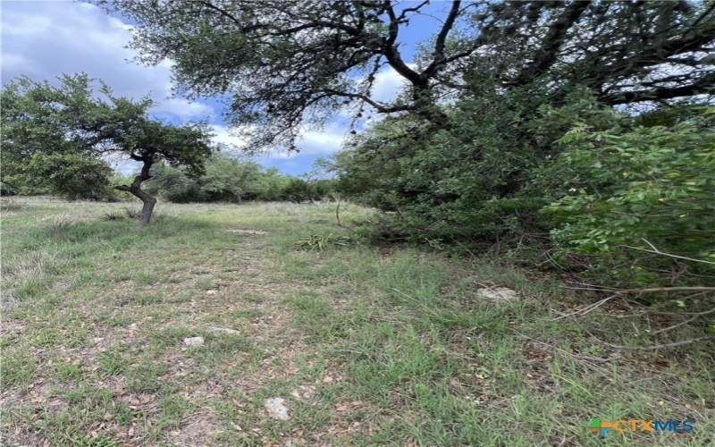 572 Wickford Way, Canyon Lake, TX 78133, 4 Bedrooms Bedrooms, ,2 BathroomsBathrooms,Residential,For Sale,572 Wickford Way,579644