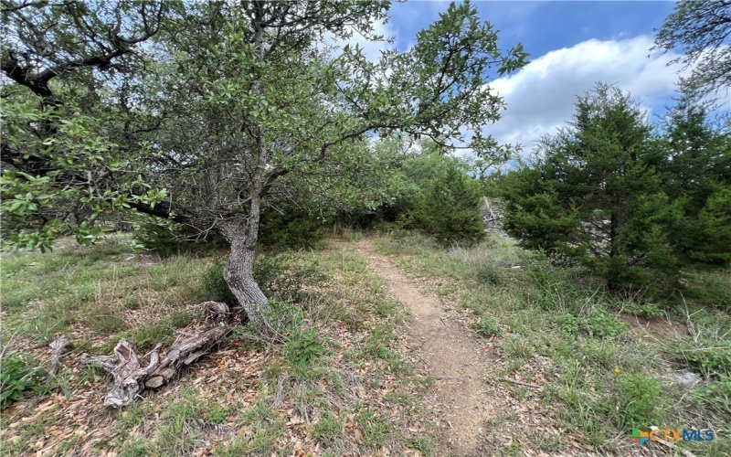 572 Wickford Way, Canyon Lake, TX 78133, 4 Bedrooms Bedrooms, ,2 BathroomsBathrooms,Residential,For Sale,572 Wickford Way,579644
