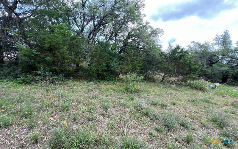 572 Wickford Way, Canyon Lake, TX 78133, 4 Bedrooms Bedrooms, ,2 BathroomsBathrooms,Residential,For Sale,572 Wickford Way,579644