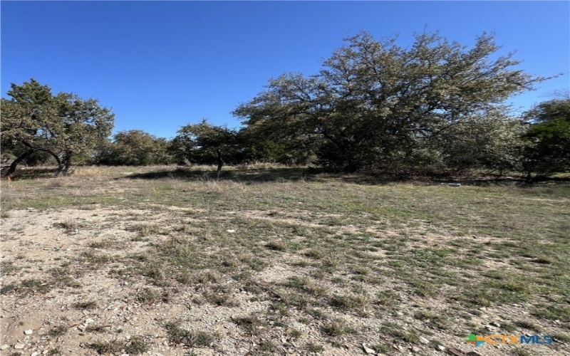 572 Wickford Way, Canyon Lake, TX 78133, 4 Bedrooms Bedrooms, ,2 BathroomsBathrooms,Residential,For Sale,572 Wickford Way,579644