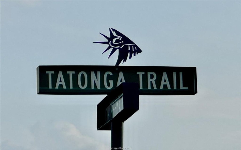 3719 Tatonga Trail, College Station, TX 77845, 5 Bedrooms Bedrooms, ,6 BathroomsBathrooms,Residential,For Sale,3719 Tatonga Trail,25005746