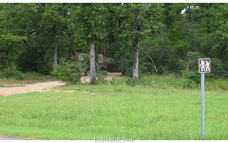 3719 Tatonga Trail, College Station, TX 77845, 5 Bedrooms Bedrooms, ,6 BathroomsBathrooms,Residential,For Sale,3719 Tatonga Trail,25005746