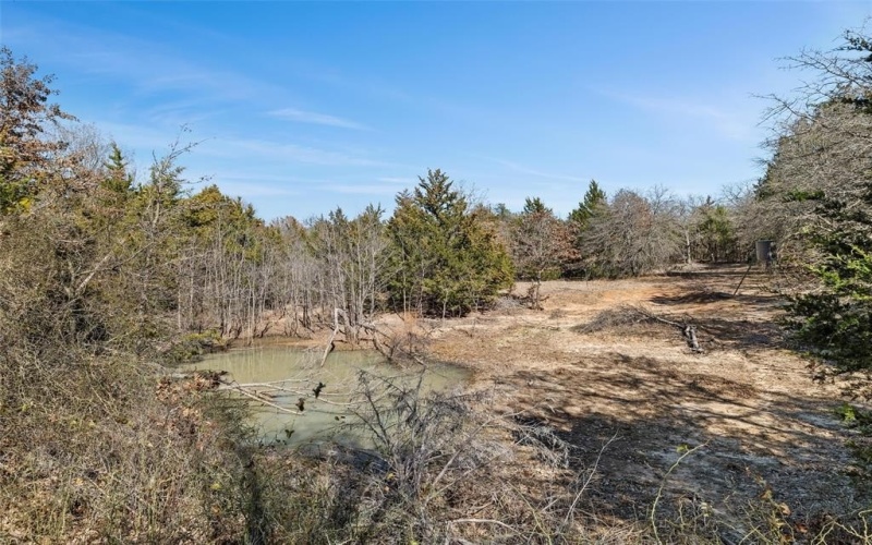 298 Greanead Road, Forestburg, TX 76239, 4 Bedrooms Bedrooms, ,2 BathroomsBathrooms,Residential,For Sale,298 Greanead Road,20858683
