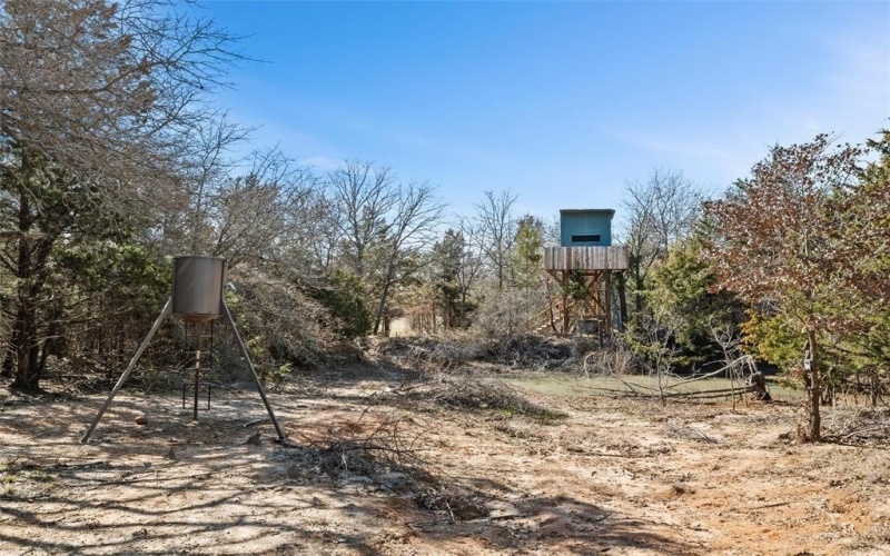 298 Greanead Road, Forestburg, TX 76239, 4 Bedrooms Bedrooms, ,2 BathroomsBathrooms,Residential,For Sale,298 Greanead Road,20858683