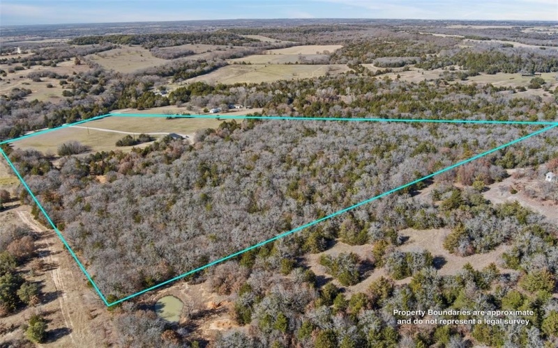 298 Greanead Road, Forestburg, TX 76239, 4 Bedrooms Bedrooms, ,2 BathroomsBathrooms,Residential,For Sale,298 Greanead Road,20858683