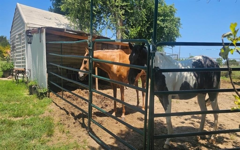 7700 County Road 144, Stephenville, TX 76401, 1 Dormitorio Habitaciones , ,1 BañoBaños,Residential,En Venta,7700 County Road 144,20927507