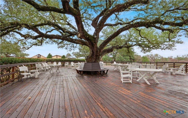 119 Antonio Perez, Blanco, TX 78606, 3 Bedrooms Bedrooms, ,2 BathroomsBathrooms,Residential,For Sale,119 Antonio Perez,563592