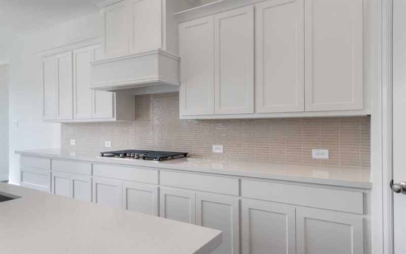 1833 Park Vista Way, Midlothian, TX 76065, 4 Bedrooms Bedrooms, ,3 BathroomsBathrooms,Residential,For Sale,1833 Park Vista Way,20780567