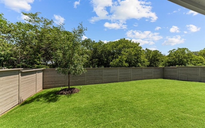 11220 Canopy Trail, Justin, TX 76247, 4 Bedrooms Bedrooms, ,3 BathroomsBathrooms,Residential,For Sale,11220 Canopy Trail,20869391