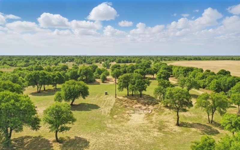 4003 County Road 344, Hawley, TX 79525, 3 Bedrooms Bedrooms, ,2 BathroomsBathrooms,Residential,For Sale,4003 County Road 344,20864423
