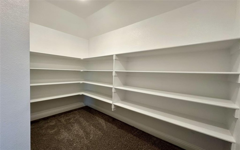 1504 Newcastle Lane, Forney, TX 75126, 4 Habitaciones Habitaciones , ,2 BañosBaños,Residential Lease,En Alquiler,1504 Newcastle Lane,20899400