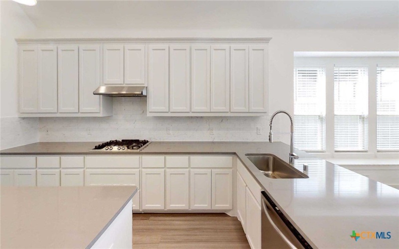 1818 Nettletree Road, New Braunfels, TX 78132, 3 Habitaciones Habitaciones , ,2 BañosBaños,Residential,En Venta,1818 Nettletree Road,579158
