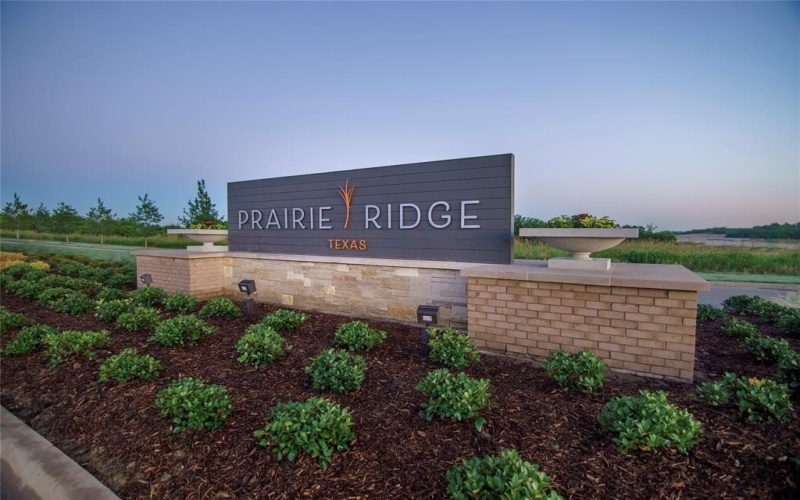 3917 Lupine Trail, Midlothian, TX 76084, 3 Bedrooms Bedrooms, ,2 BathroomsBathrooms,Residential,For Sale,3917 Lupine Trail,20847667