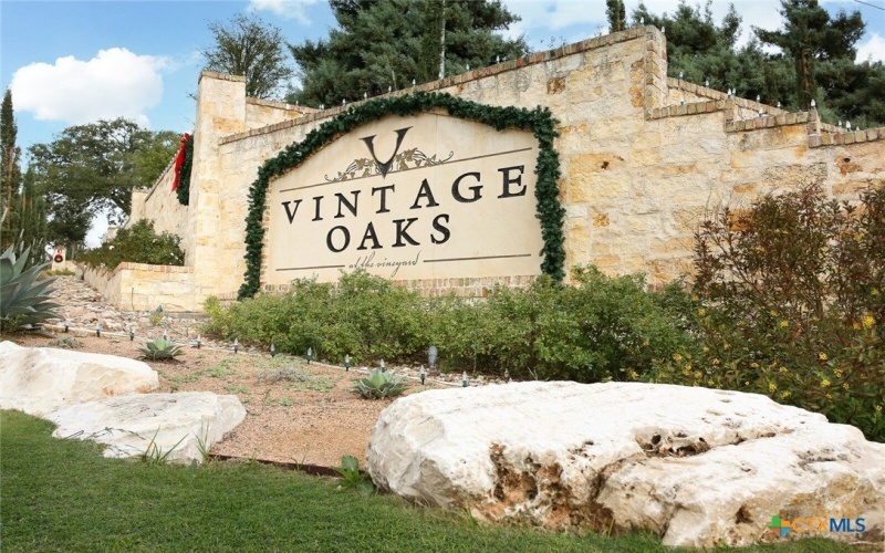 1123 Vintage Way, New Braunfels, TX 78132, 4 Bedrooms Bedrooms, ,3 BathroomsBathrooms,Residential,For Sale,1123 Vintage Way,561721