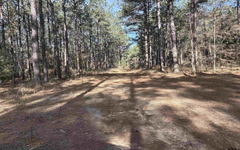 TBD 17.57 ACRES FM 2274, Troup, TX 75789, 1 Bedroom Bedrooms, ,1 BathroomBathrooms,Farm,For Sale,TBD 17.57 ACRES FM 2274,25005289