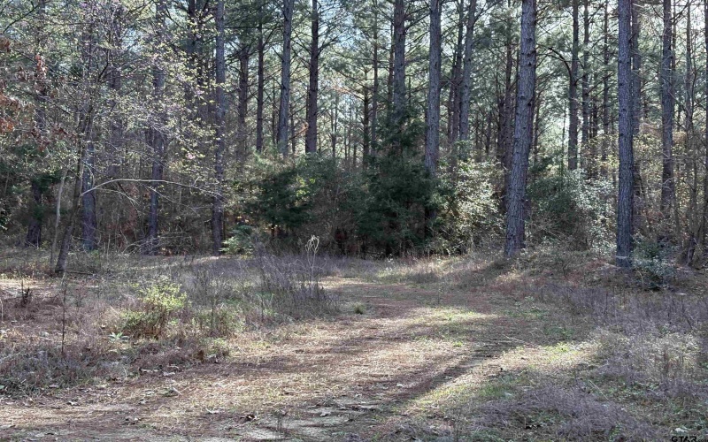 TBD 17.57 ACRES FM 2274, Troup, TX 75789, 1 Bedroom Bedrooms, ,1 BathroomBathrooms,Farm,For Sale,TBD 17.57 ACRES FM 2274,25005289