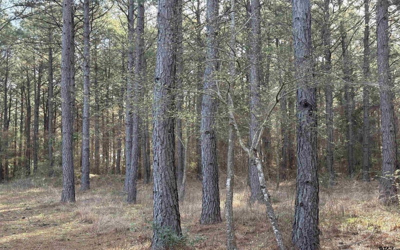TBD 17.57 ACRES FM 2274, Troup, TX 75789, 1 Bedroom Bedrooms, ,1 BathroomBathrooms,Farm,For Sale,TBD 17.57 ACRES FM 2274,25005289