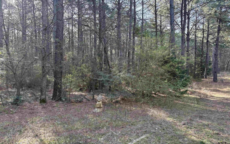 TBD 17.57 ACRES FM 2274, Troup, TX 75789, 1 Bedroom Bedrooms, ,1 BathroomBathrooms,Farm,For Sale,TBD 17.57 ACRES FM 2274,25005289