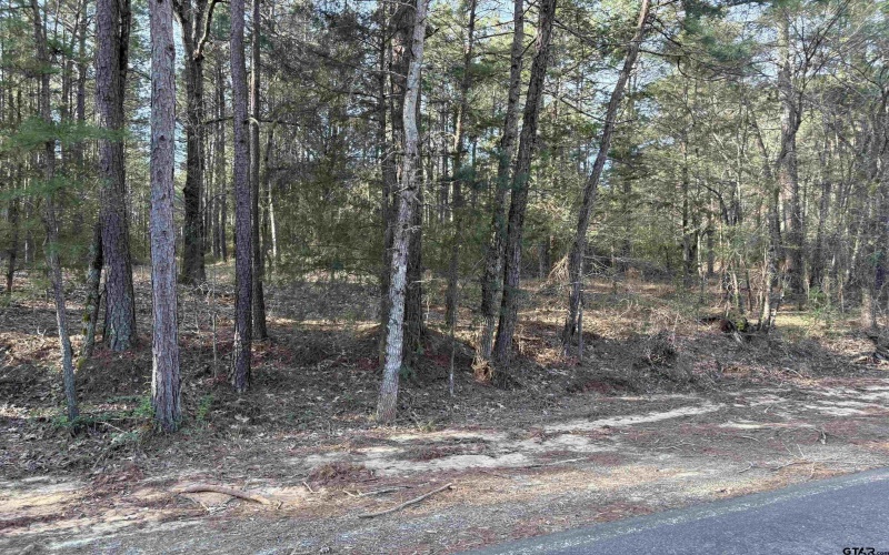 TBD 17.57 ACRES FM 2274, Troup, TX 75789, 1 Bedroom Bedrooms, ,1 BathroomBathrooms,Farm,For Sale,TBD 17.57 ACRES FM 2274,25005289