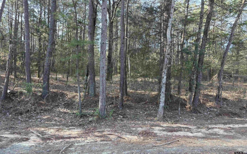 TBD 17.57 ACRES FM 2274, Troup, TX 75789, 1 Bedroom Bedrooms, ,1 BathroomBathrooms,Farm,For Sale,TBD 17.57 ACRES FM 2274,25005289