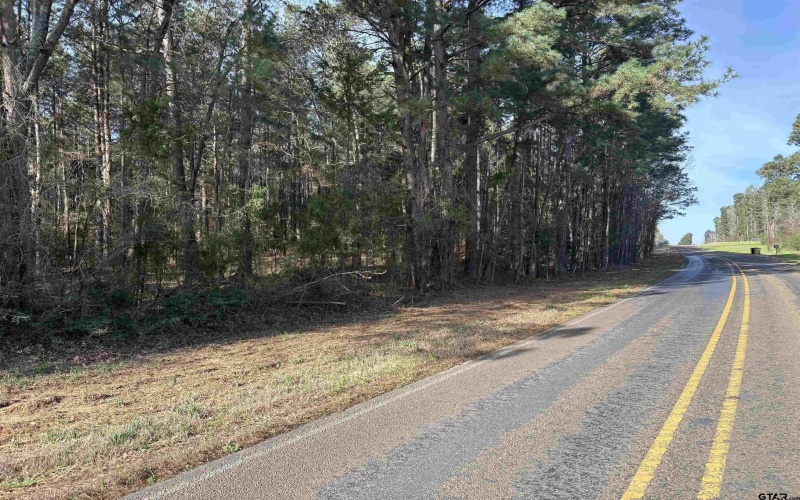 TBD 17.57 ACRES FM 2274, Troup, TX 75789, 1 Bedroom Bedrooms, ,1 BathroomBathrooms,Farm,For Sale,TBD 17.57 ACRES FM 2274,25005289