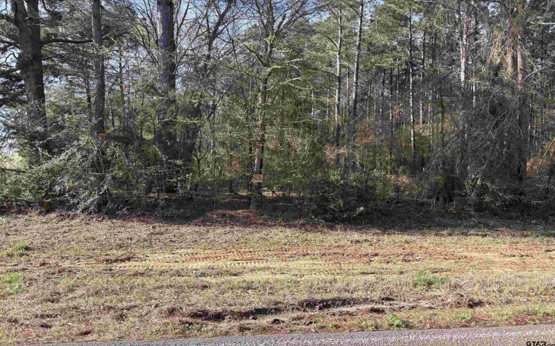 TBD 17.57 ACRES FM 2274, Troup, TX 75789, 1 Bedroom Bedrooms, ,1 BathroomBathrooms,Farm,For Sale,TBD 17.57 ACRES FM 2274,25005289