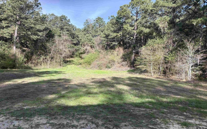 TBD 17.57 ACRES FM 2274, Troup, TX 75789, 1 Bedroom Bedrooms, ,1 BathroomBathrooms,Farm,For Sale,TBD 17.57 ACRES FM 2274,25005289