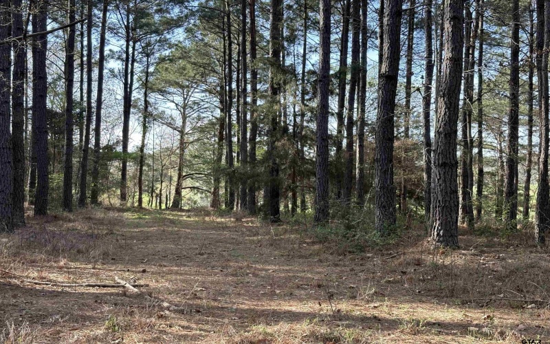 TBD 17.57 ACRES FM 2274, Troup, TX 75789, 1 Bedroom Bedrooms, ,1 BathroomBathrooms,Farm,For Sale,TBD 17.57 ACRES FM 2274,25005289