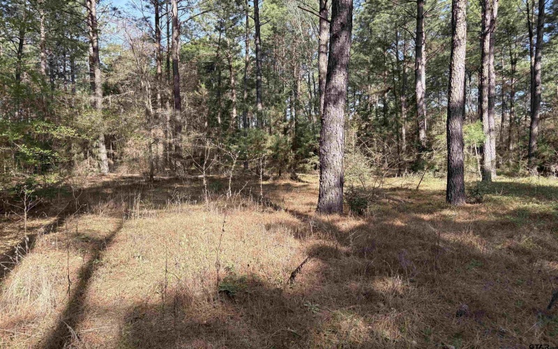 TBD 17.57 ACRES FM 2274, Troup, TX 75789, 1 Bedroom Bedrooms, ,1 BathroomBathrooms,Farm,For Sale,TBD 17.57 ACRES FM 2274,25005289