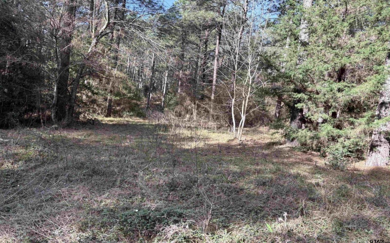 TBD 17.57 ACRES FM 2274, Troup, TX 75789, 1 Bedroom Bedrooms, ,1 BathroomBathrooms,Farm,For Sale,TBD 17.57 ACRES FM 2274,25005289
