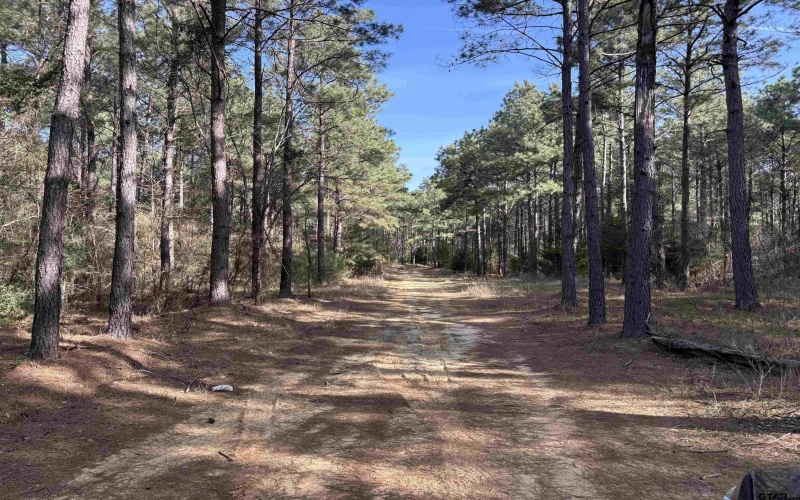 TBD 17.57 ACRES FM 2274, Troup, TX 75789, 1 Bedroom Bedrooms, ,1 BathroomBathrooms,Farm,For Sale,TBD 17.57 ACRES FM 2274,25005289