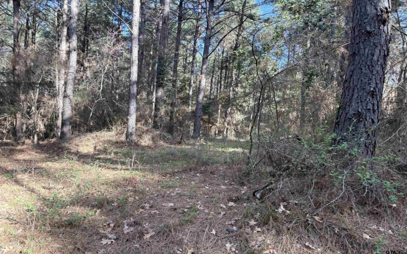 TBD 17.57 ACRES FM 2274, Troup, TX 75789, 1 Bedroom Bedrooms, ,1 BathroomBathrooms,Farm,For Sale,TBD 17.57 ACRES FM 2274,25005289