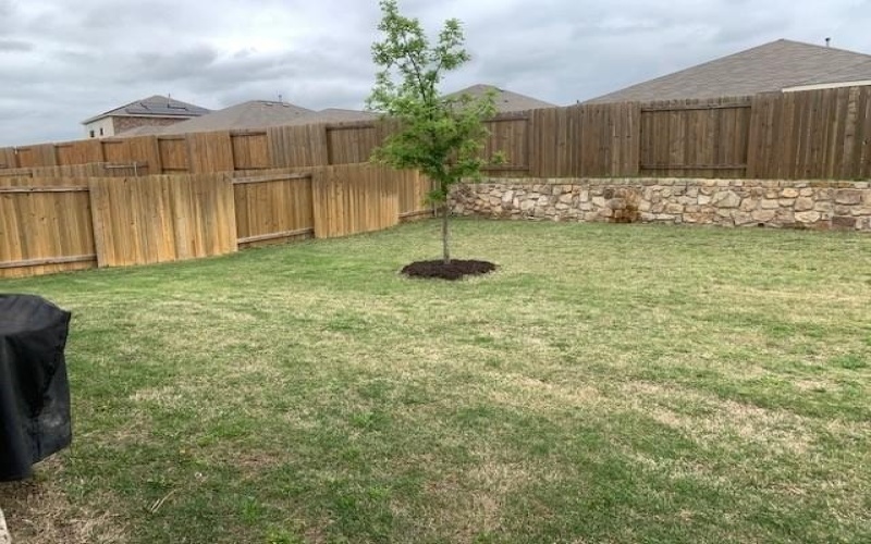 3023 Villegas Way, Forney, TX 75126, 4 Bedrooms Bedrooms, ,2 BathroomsBathrooms,Residential Lease,For Rent,3023 Villegas Way,20941223