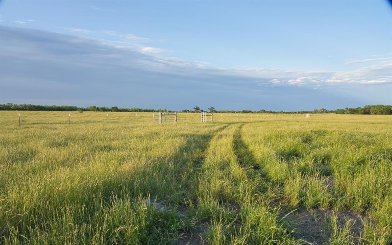 303 Lcr 626, Groesbeck, TX 76642, 4 Bedrooms Bedrooms, ,2 BathroomsBathrooms,Residential,For Sale,303 Lcr 626,20941765