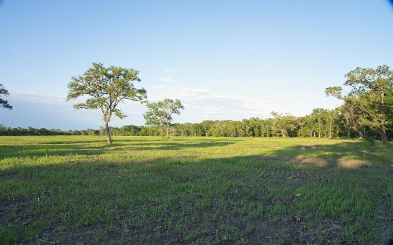 303 Lcr 626, Groesbeck, TX 76642, 4 Bedrooms Bedrooms, ,2 BathroomsBathrooms,Residential,For Sale,303 Lcr 626,20941765