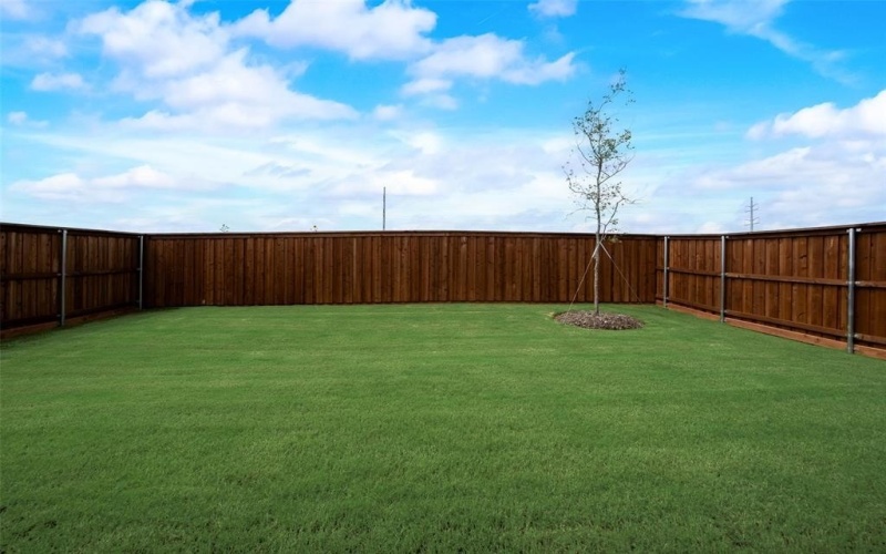 132 Ashbrook Street, Little Elm, TX 75068, 3 Bedrooms Bedrooms, ,2 BathroomsBathrooms,Residential,For Sale,132 Ashbrook Street,20940736