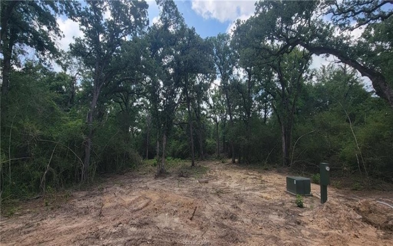 2708 Yorkshire Trail, Franklin, TX 77856, 3 Bedrooms Bedrooms, ,2 BathroomsBathrooms,Residential,For Sale,2708 Yorkshire Trail,25006135