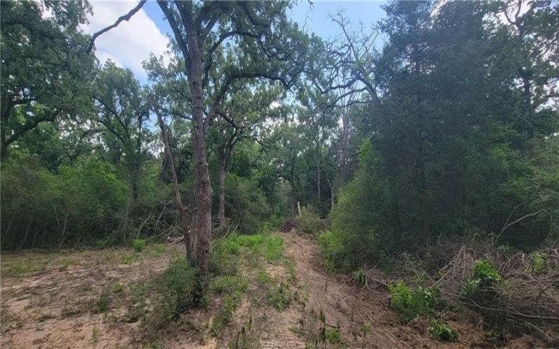 2708 Yorkshire Trail, Franklin, TX 77856, 3 Bedrooms Bedrooms, ,2 BathroomsBathrooms,Residential,For Sale,2708 Yorkshire Trail,25006135