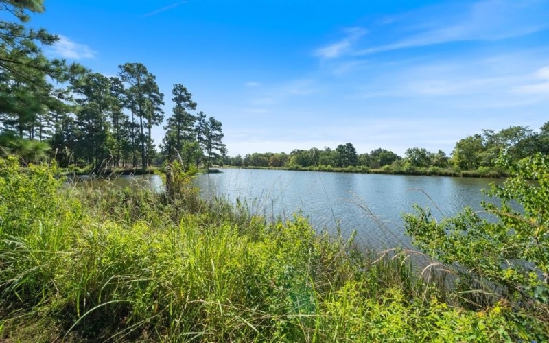 4776 FM 17, Grand Saline, TX 75140, ,Commercial Sale,For Sale,4776 FM 17,20736322
