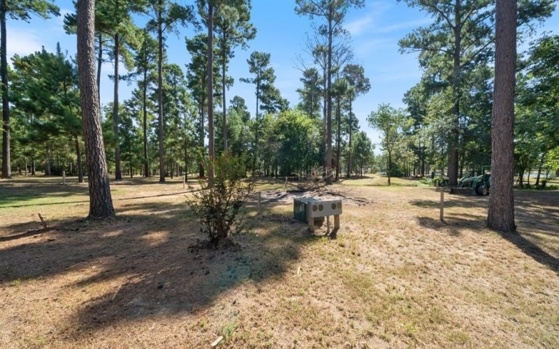 4776 FM 17, Grand Saline, TX 75140, ,Commercial Sale,For Sale,4776 FM 17,20736322